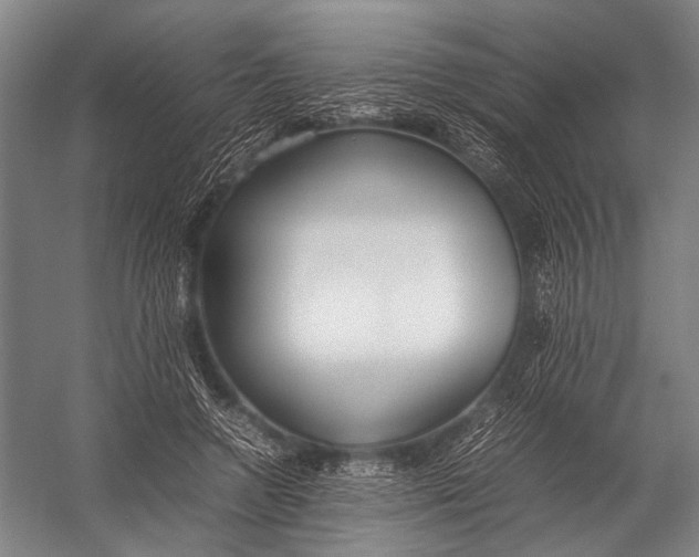 X0000052970546200507300140