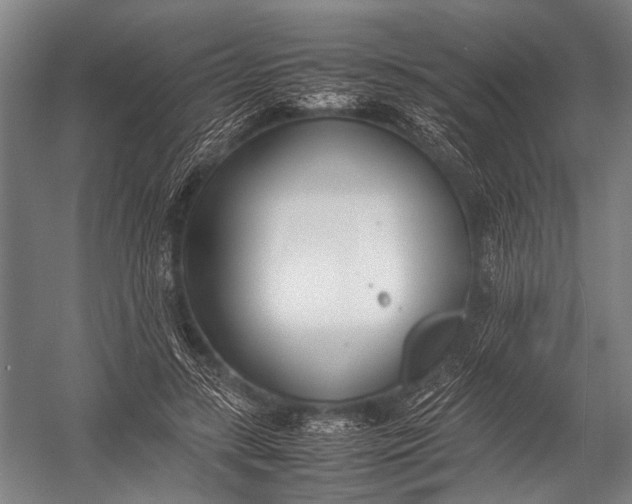 X0000052970547200507300140