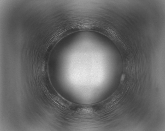 X0000052970548200507300140