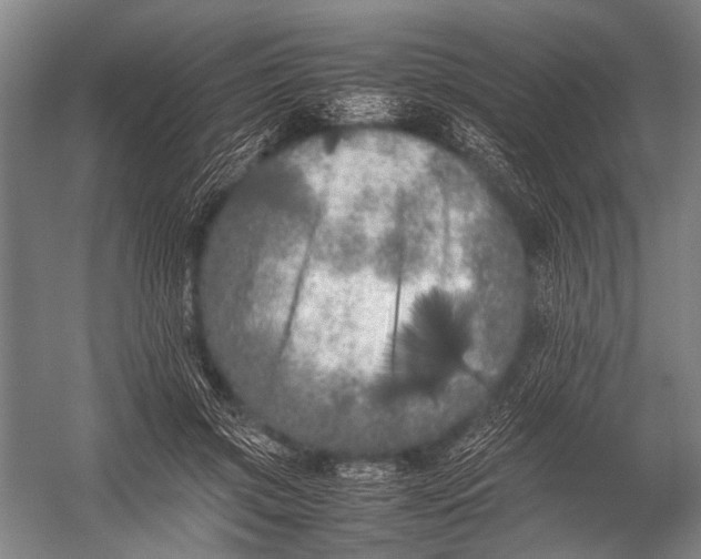 X0000052970549200507300140