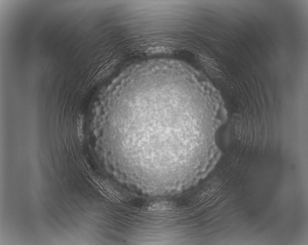 X0000052970550200507300140