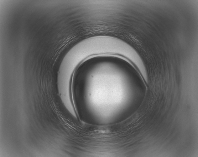 X0000052970552200507300140