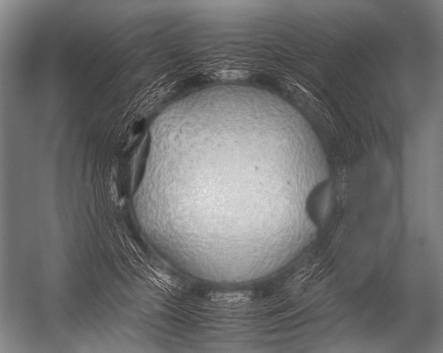 X0000052970553200507300140