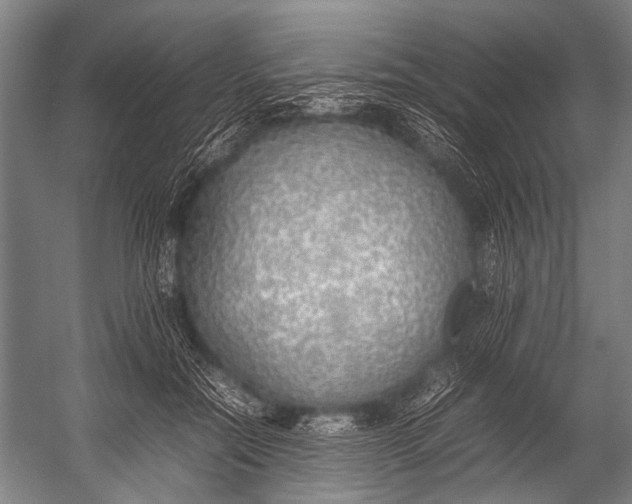 X0000052970554200507300140