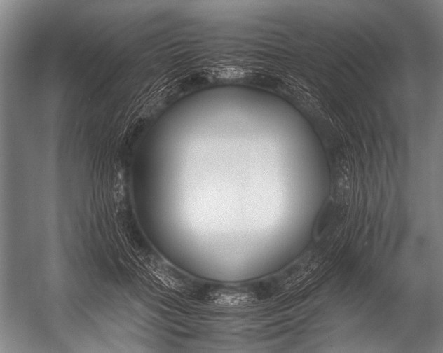 X0000052970555200507300140