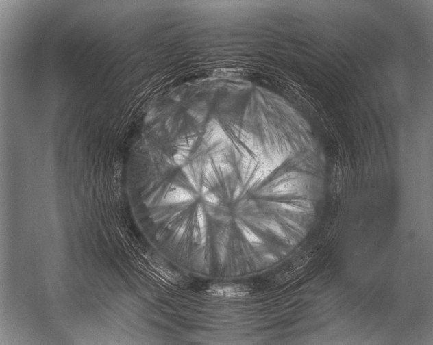 X0000052970557200507300140