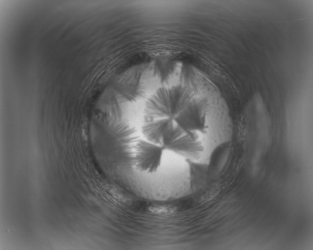 X0000052970561200507300140