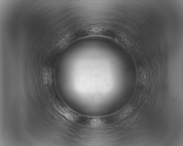 X0000052970562200507300140