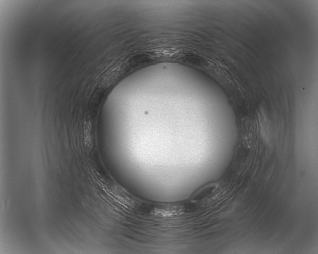 X0000052970563200507300140