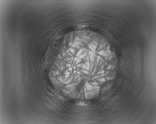 X0000052970565200507300140