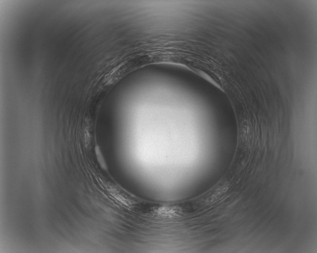 X0000052970566200507300140