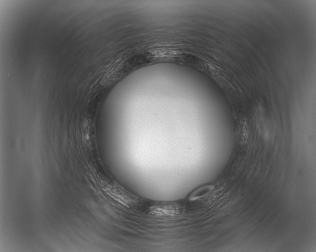 X0000052970567200507300140