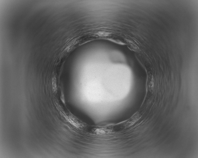 X0000052970568200507300140