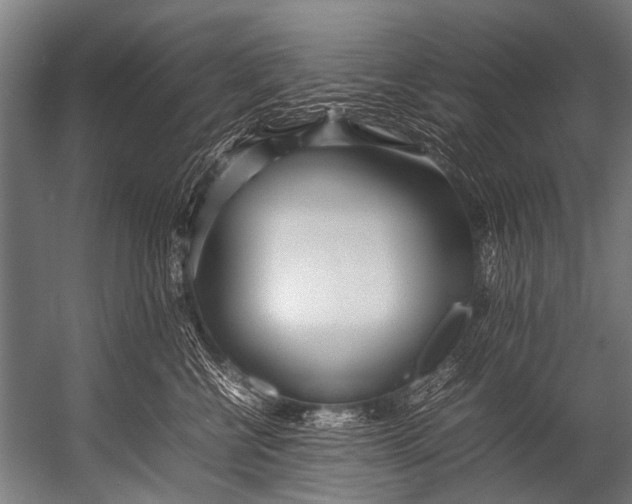 X0000052970570200507300140