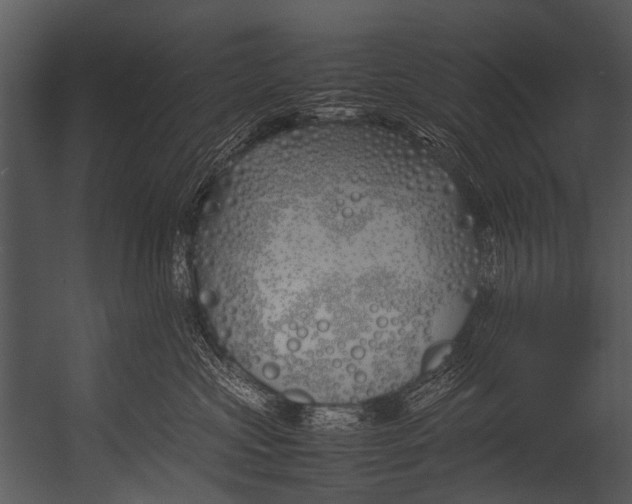 X0000052970573200507300140