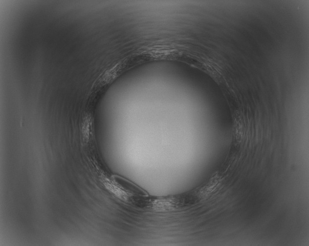 X0000052970574200507300140