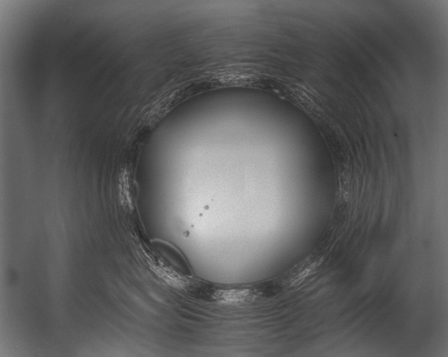 X0000052970575200507300140