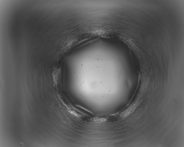 X0000052970576200507300140