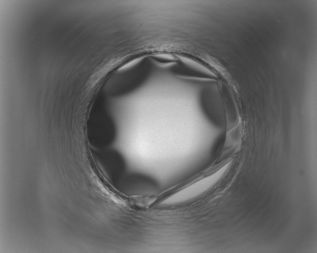 X0000052970577200507300140