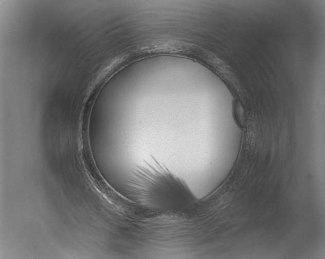 X0000052970578200507300140