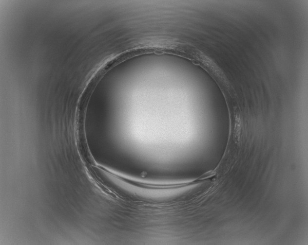 X0000052970580200507300140