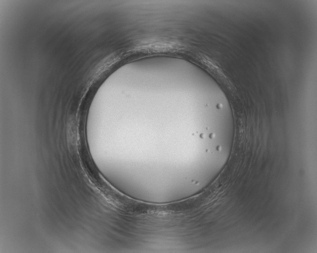 X0000052970582200507300140