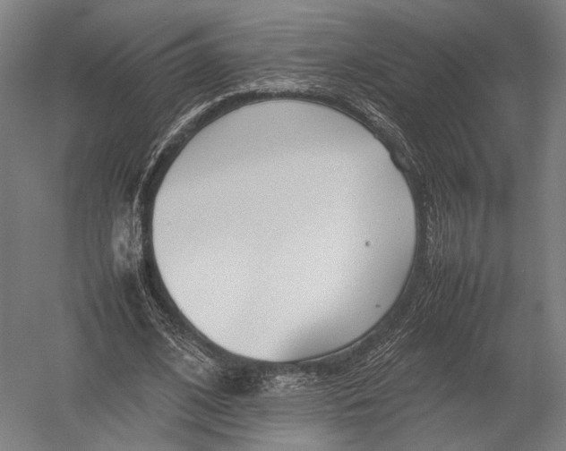 X0000052970584200507300140