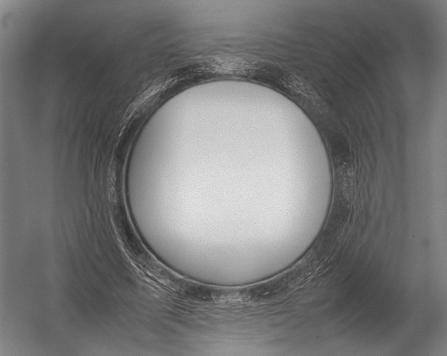 X0000052970587200507300139