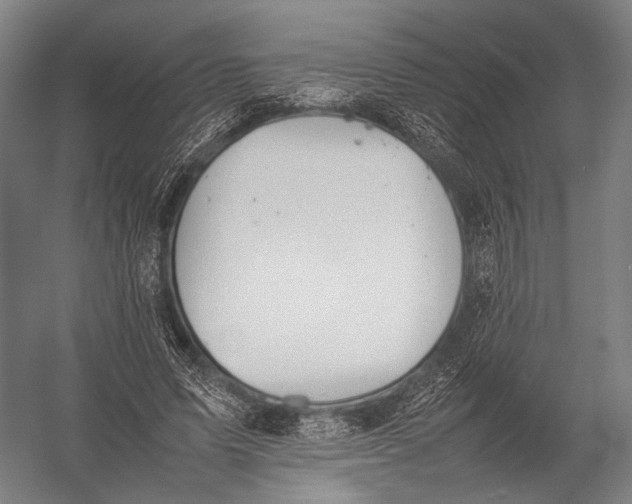 X0000052970591200507300139