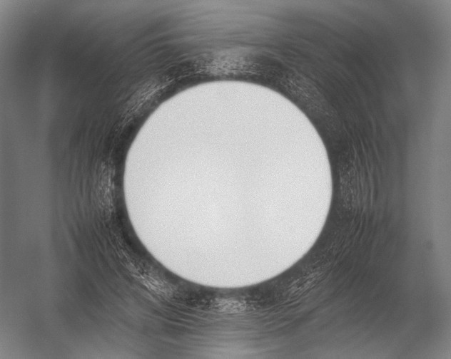 X0000052970592200507300139