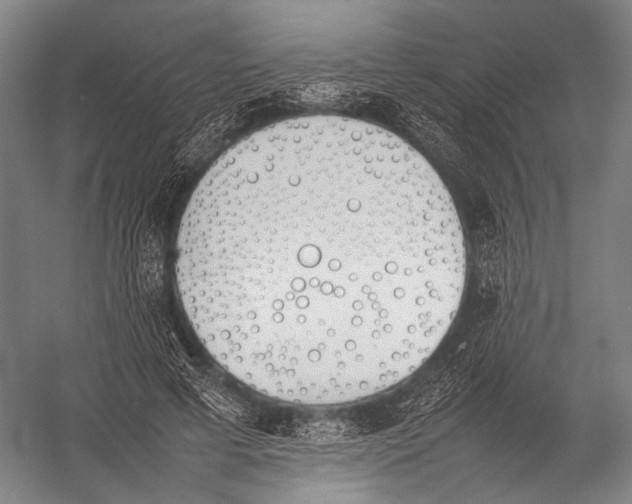 X0000052970593200507300139