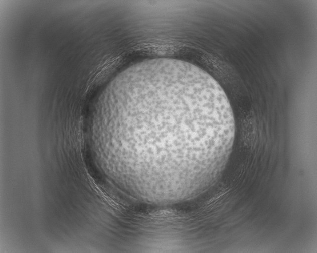 X0000052970594200507300139