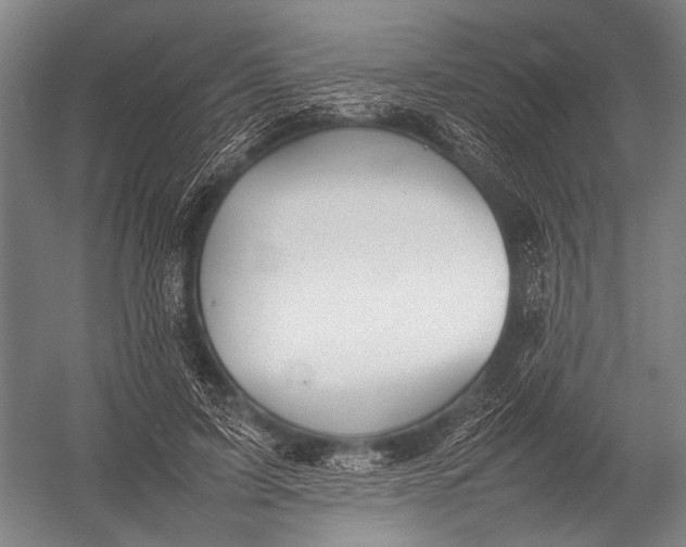 X0000052970595200507300139