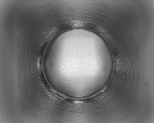 X0000052970598200507300139