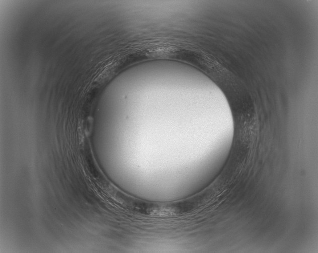 X0000052970599200507300139