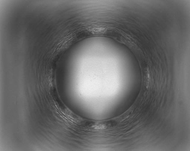 X0000052970604200507300139