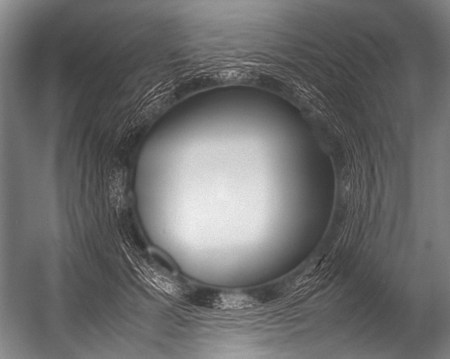 X0000052970605200507300139