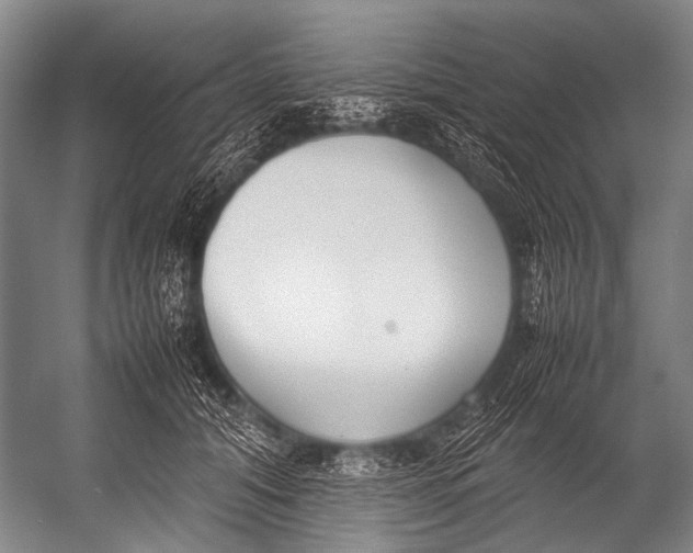 X0000052970608200507300139