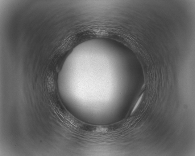 X0000052970609200507300139