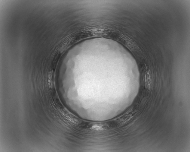 X0000052970610200507300139