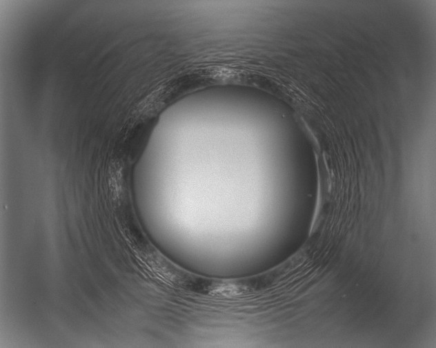 X0000052970611200507300139