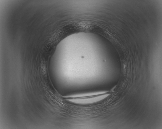 X0000052970613200507300139