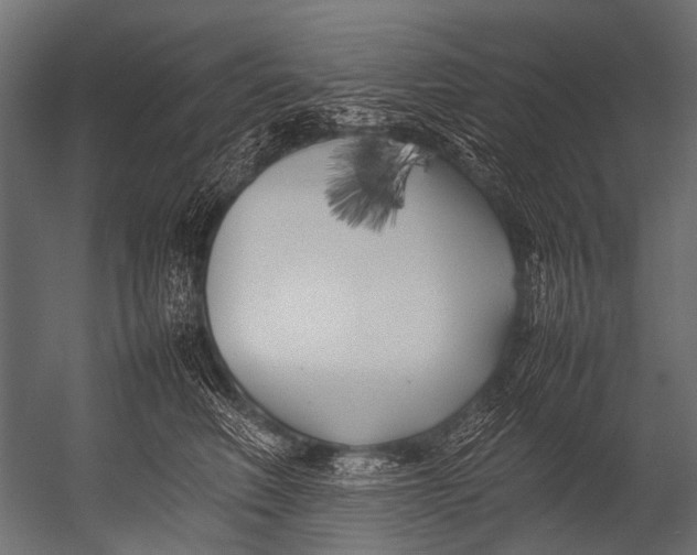 X0000052970614200507300139