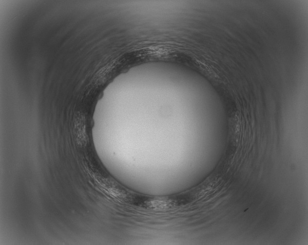 X0000052970615200507300139