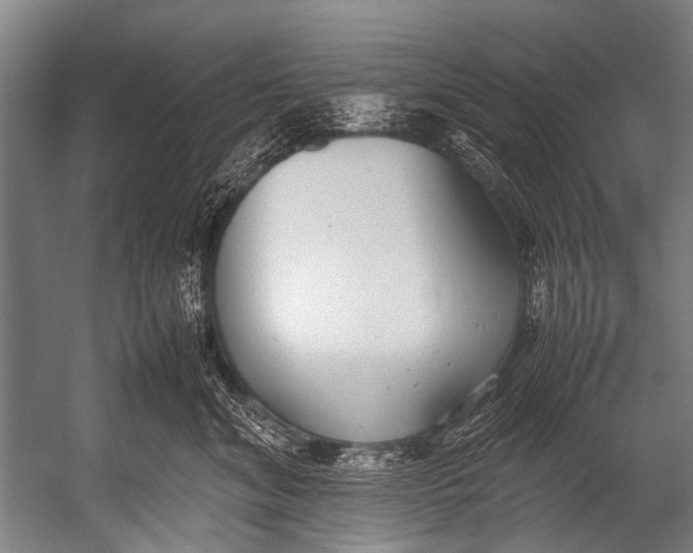 X0000052970620200507300139