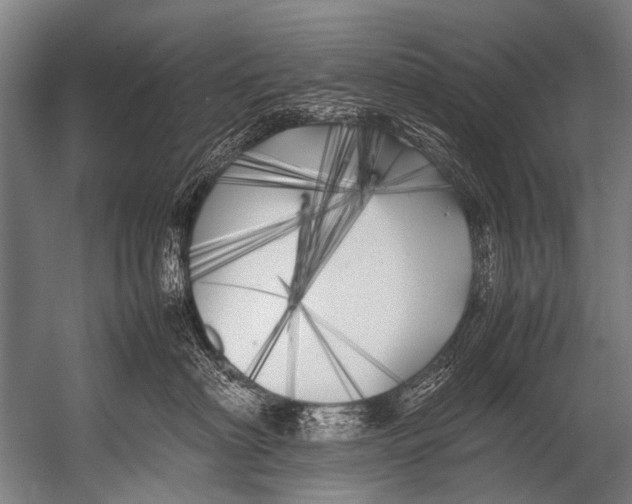 X0000052970622200507300139