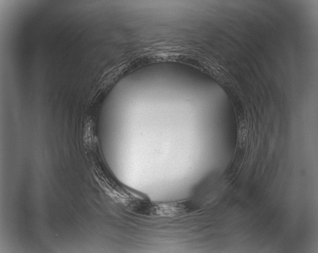 X0000052970623200507300139
