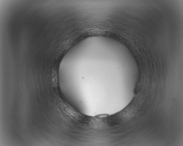 X0000052970624200507300139