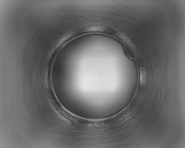 X0000052970627200507300138