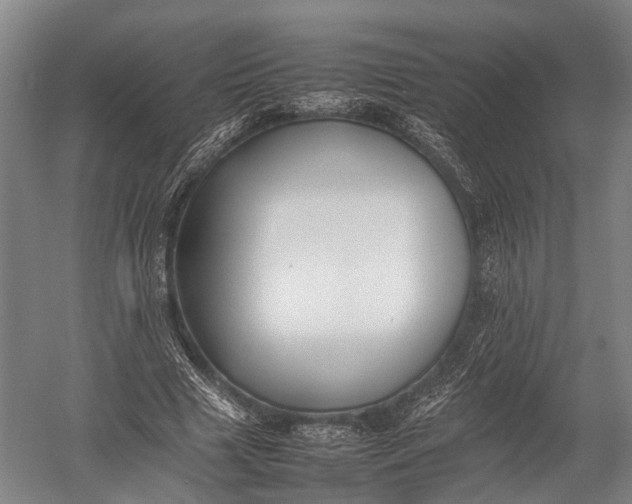 X0000052970633200507300138